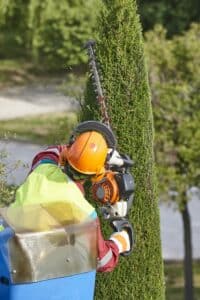 Gartenunterhalt Service